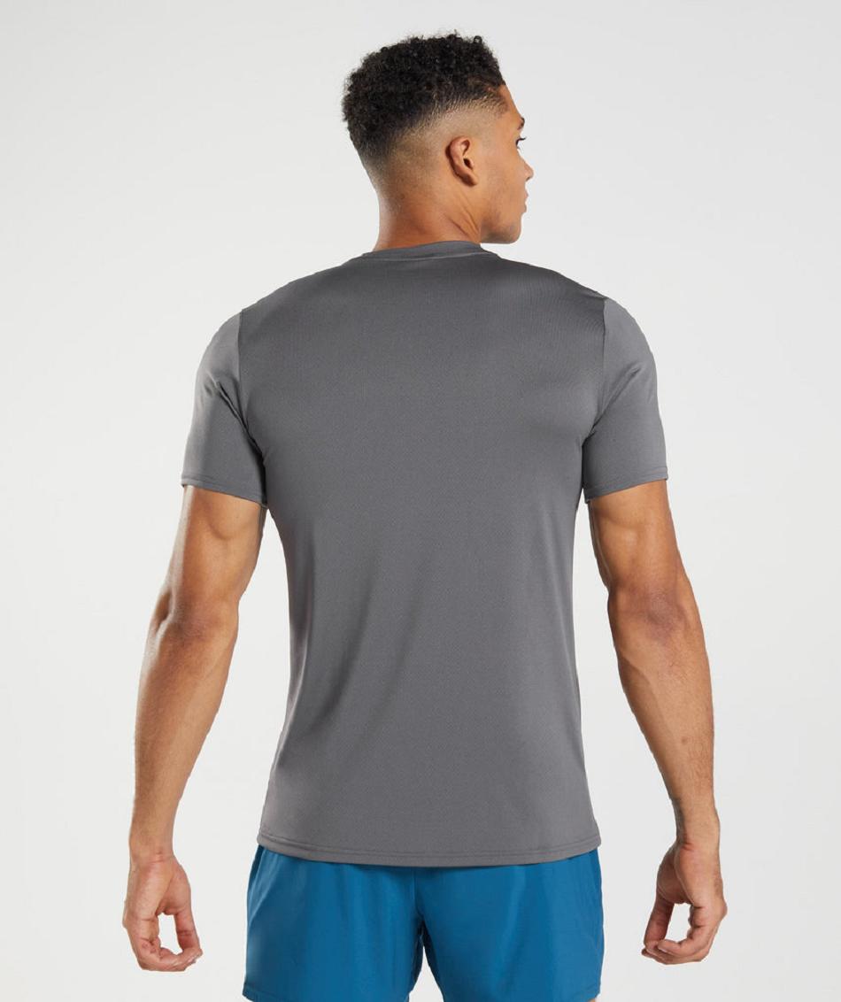 T Shirts Męskie Gymshark Arrival Szare | PL 3801LIS